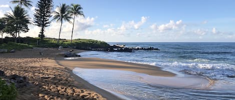 Beach on property