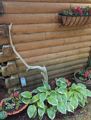 Detalj exteriör