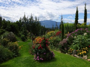 Terrain de l’hébergement 