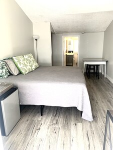 Dunedin Apartment