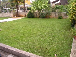 Garden. Front lawn