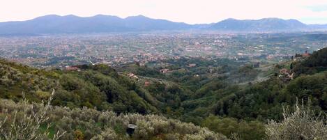 Vista dalla finestra