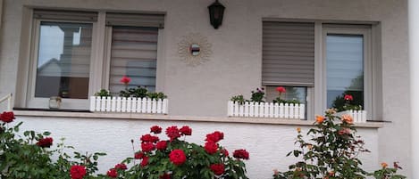 Detalj exteriör