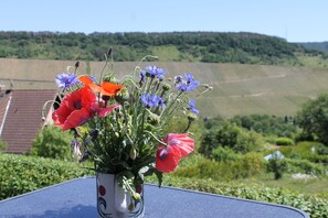 Aussicht von der Terrasse