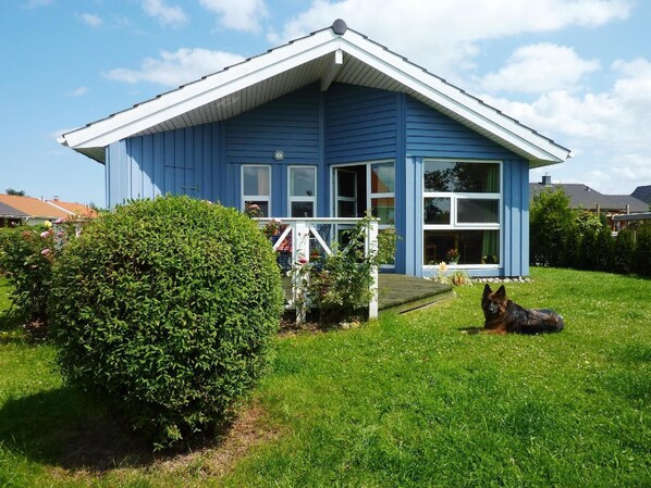 Hunde erlaubt