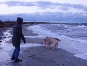 Strand
