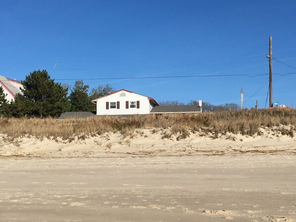 Strand