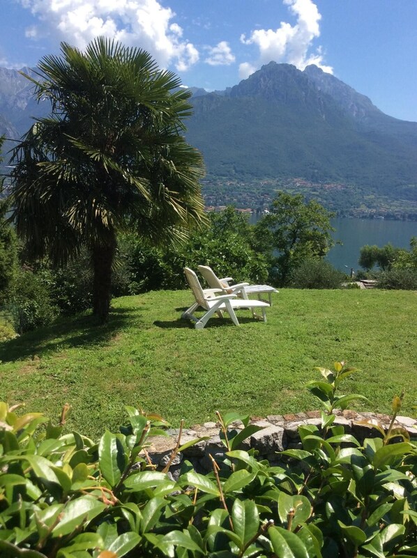 Jardin