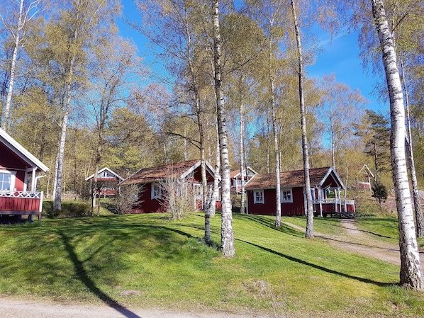 Exteriör