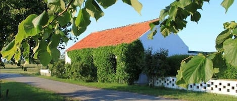 Udendørsområde