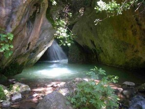 Plunge Pool