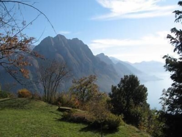 Terrain de l’hébergement 