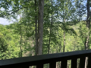 View from back deck 10 min to Gatlinburg or Pigeon Forge