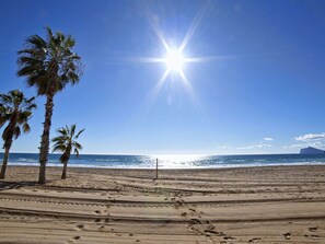 Sky, Water, Cloud, Plant, Tree, Beach, Sunlight, Natural Landscape, Coastal And Oceanic Landforms, Wood