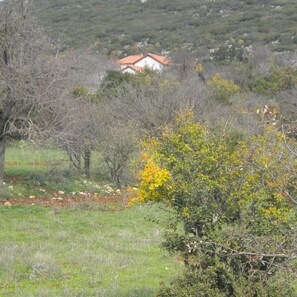 External view of the building