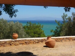 the view from the house