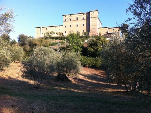 A view of the castle from below in the olive grove in September