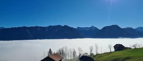 Geniesse relaxt die Sonnenseite über dem Nebelmeer - Einfach GRANDIOS!!!