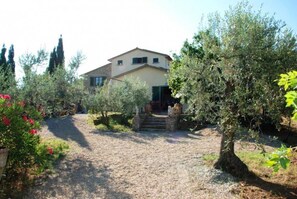 Building Exterior, Garden