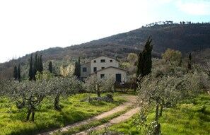 Building Exterior, Garden, Scenic View