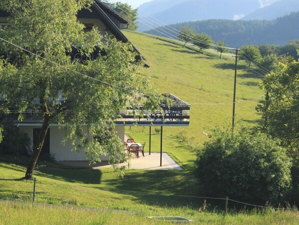 Ferienwohnung 60qm, 1 Schlafzimmer, max. 2 Personen-Herrlicher Ausblick von der Terrasse Richtung Kinzigtal