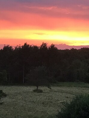 Boendeområde