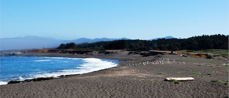 Spiaggia