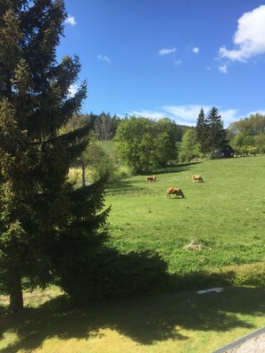 Blick vom Balkon