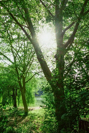 Boendeområde