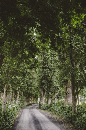Terrara House driveway entrance