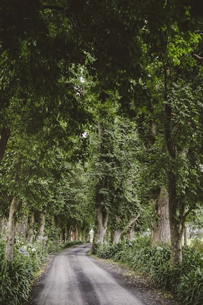 Terrara House driveway entrance