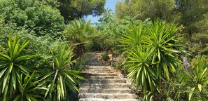 Terrain de l’hébergement 