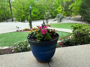 View from front porch to driveway and street
