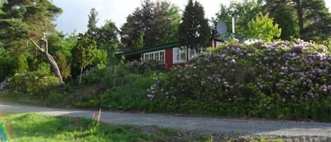 Haus umgeben von Rhododendren