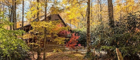 Highlands Treehouse - Fall Season