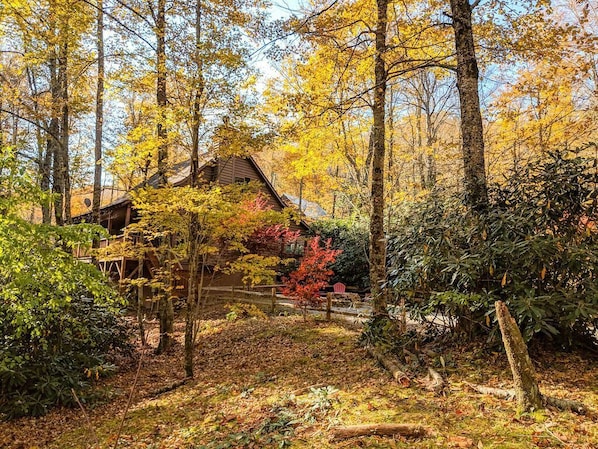 Highlands Treehouse - Fall Season