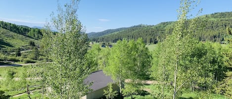 Boendeområde