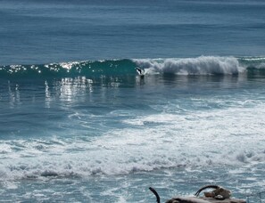 Private surf right in front of the property! 30 second walk to the beach.