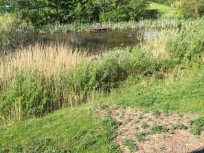 Blick vom Frühstückstisch auf den Teich