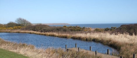 The Pond towards the Beach at The Bay