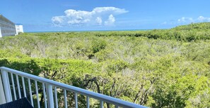 Balcony view - similar view from Living Room and Master Bedroom