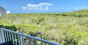 Balcony view - similar view from Living Room and Master Bedroom