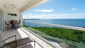View from the Balcony