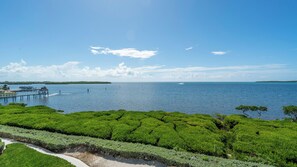 View from the Balcony
