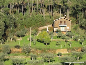 External view of the building