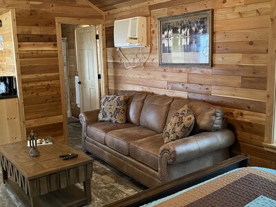 One Bedroom Cabin w/Sleeper Sofa