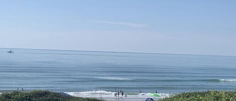 Beautiful view from the deck, while watching the dolphins frolic and swim by.