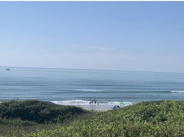 Beautiful view from the deck, while watching the dolphins frolic and swim by.