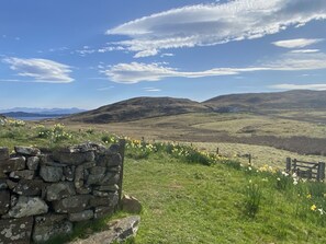 View from the front door