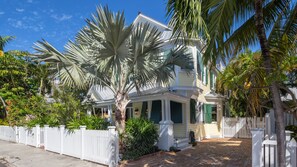 Surrounded by palms!